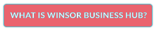 WHAT IS WINSOR BUSINESS HUB?