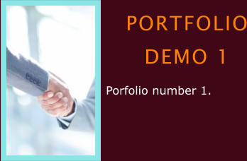 PORTFOLIO DEMO 1 Porfolio number 1.